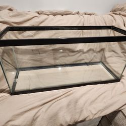 Fish aquarium and accessories 