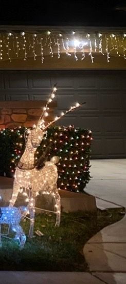 Lighted Reindeer Christmas Yard Decoration