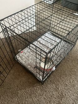Black Wire Dog Crate with Mat and Bowl