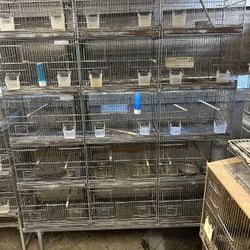 Bird Cages 15 For Each Section And 40 For Stand