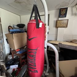 Punching Bag W/ Stand