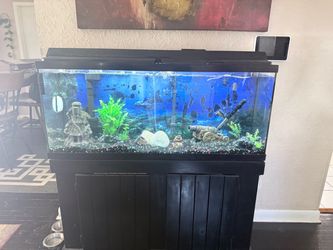 55 gallons fish tank