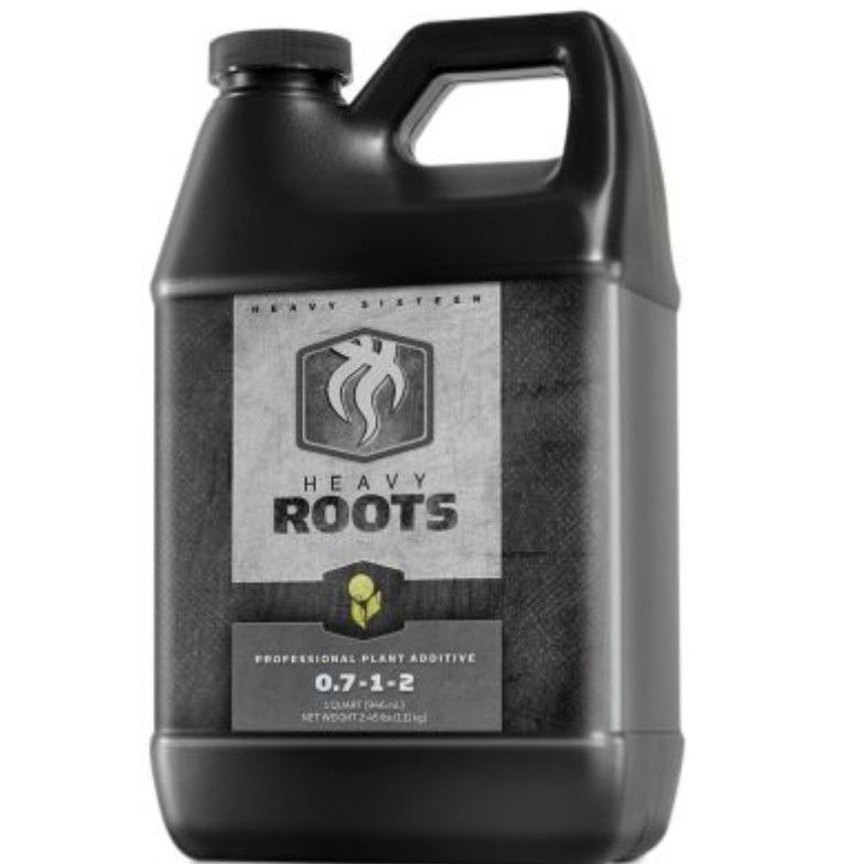 Roots Heavy 16