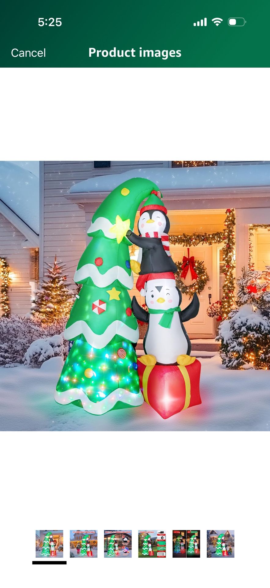 Christmas Inflatable