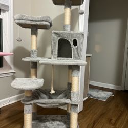 Cat Bed 