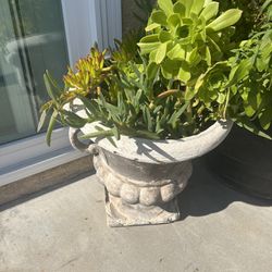 Large Plant  Brokenn Pot 