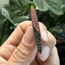 Vintage Black And Red Brooch/Lapel