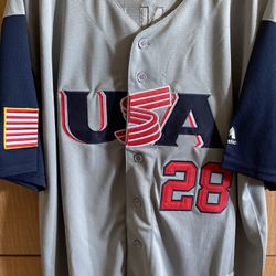 Team USA Baseball Large Jersey 