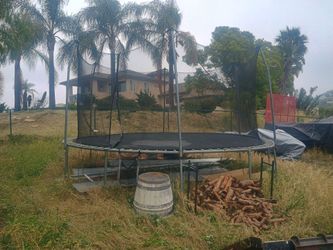 Free trampoline!!!!!!