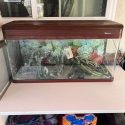 Huge Acrylic Fish Or Pet Or Reptile Tank And GRECH GW-303B aquarium  filter