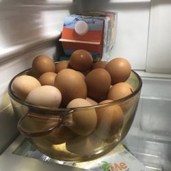 Huevos Indios