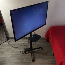 LG TV + Rolling Stand + Roku (2 Remotes)