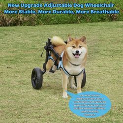 Dog Device for Back Legs, 