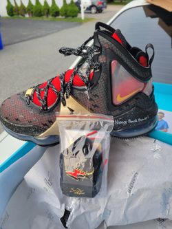Doernbecher Lebron XIX Size 10
