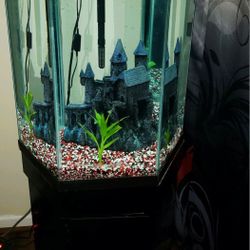 20 Gallon Hexagon Fish Tank With Stand