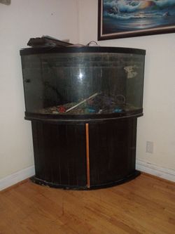 92 gal corner aquarium p
