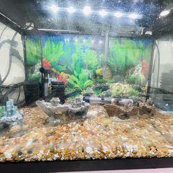 Fish Tank
