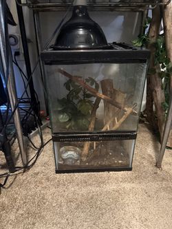 Crusty Gecko Enclosure