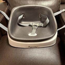 Ingenuity Booster Seat