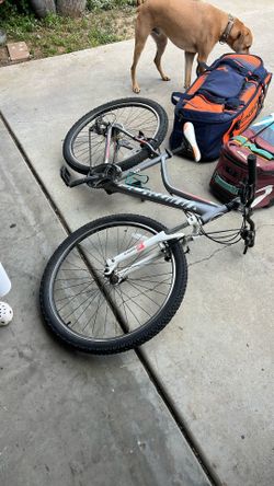 Girls Schwinn Mountain Bike