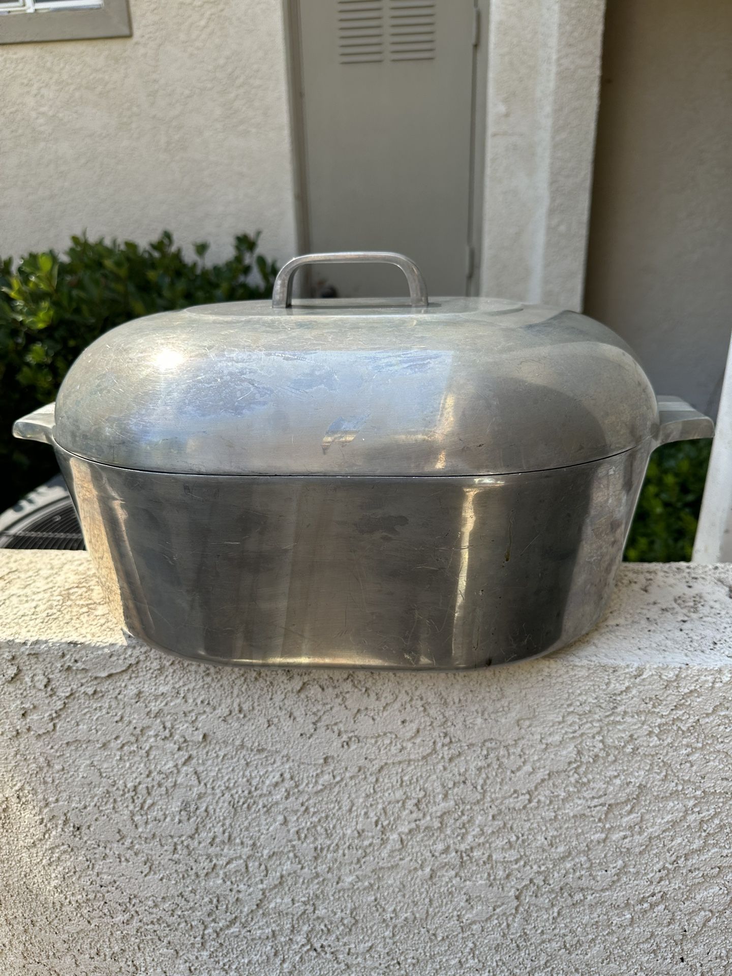 Pot