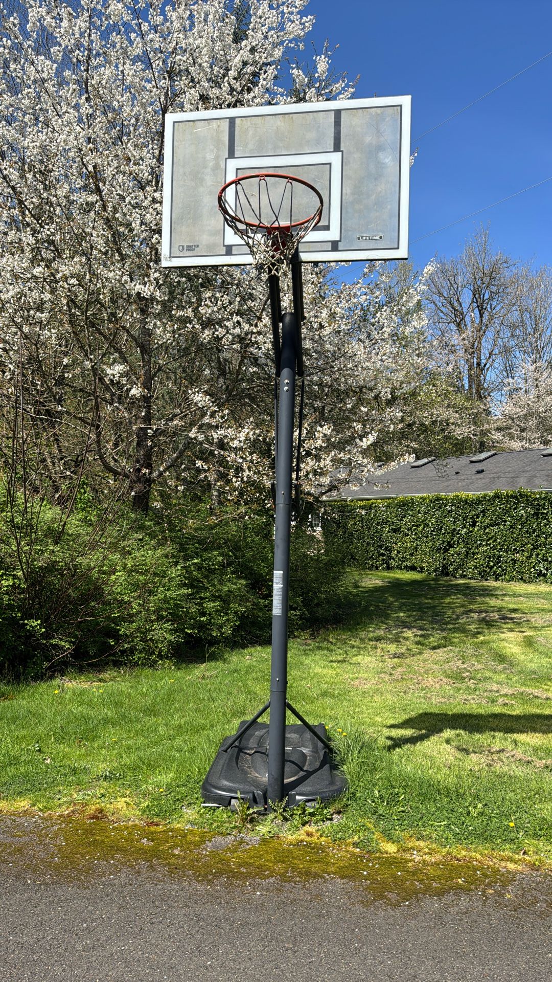 Basketball Hoop