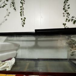 Aquarium/ Reptile tank. DOES NOT HOLD WATER