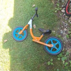 Cub Push Bike