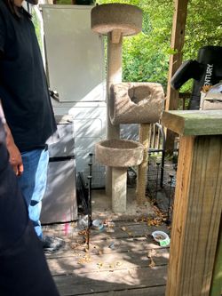 Cat stand