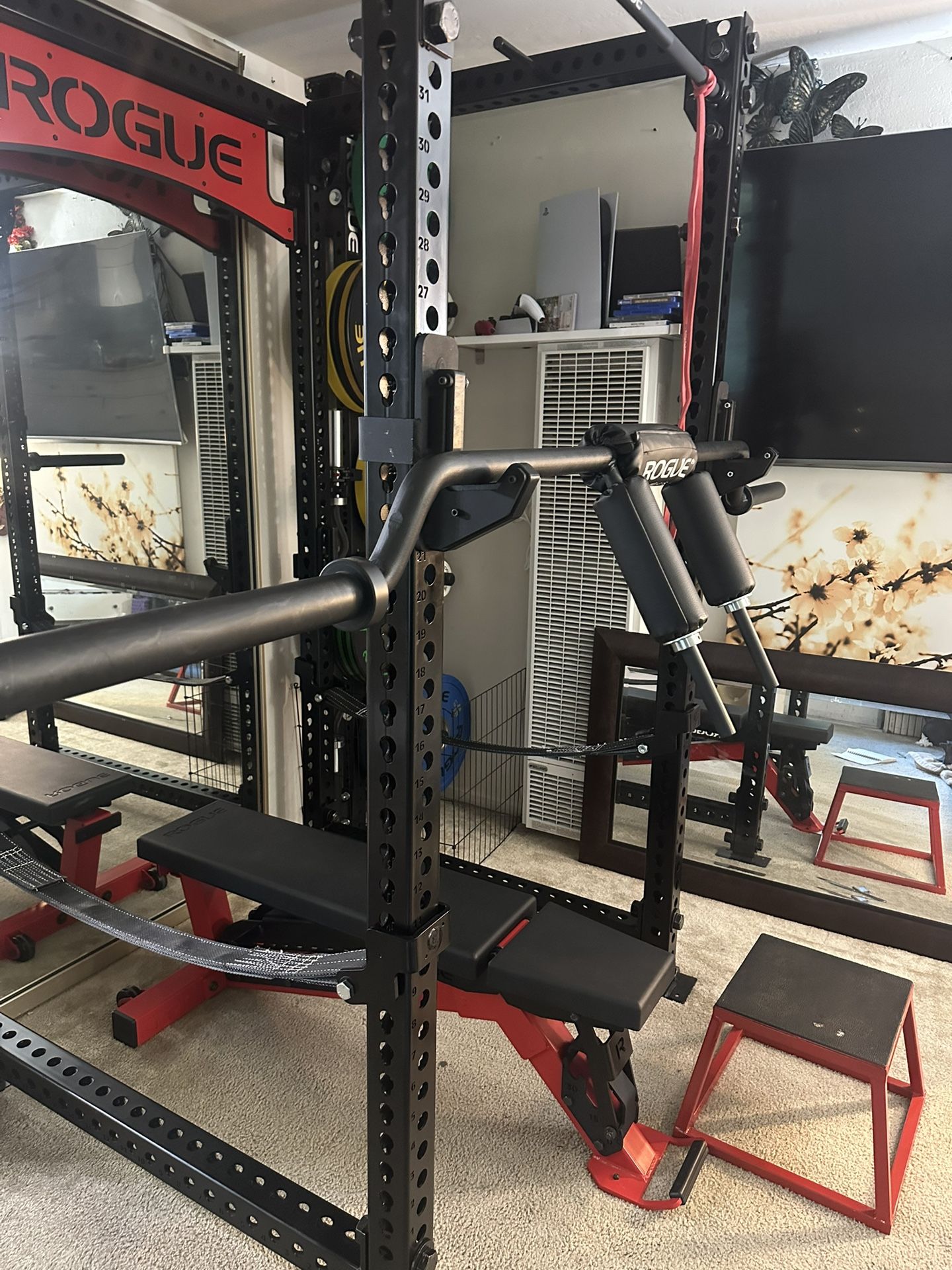 SB-1 - ROGUE SAFETY SQUAT BAR