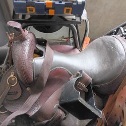 Horse Saddle