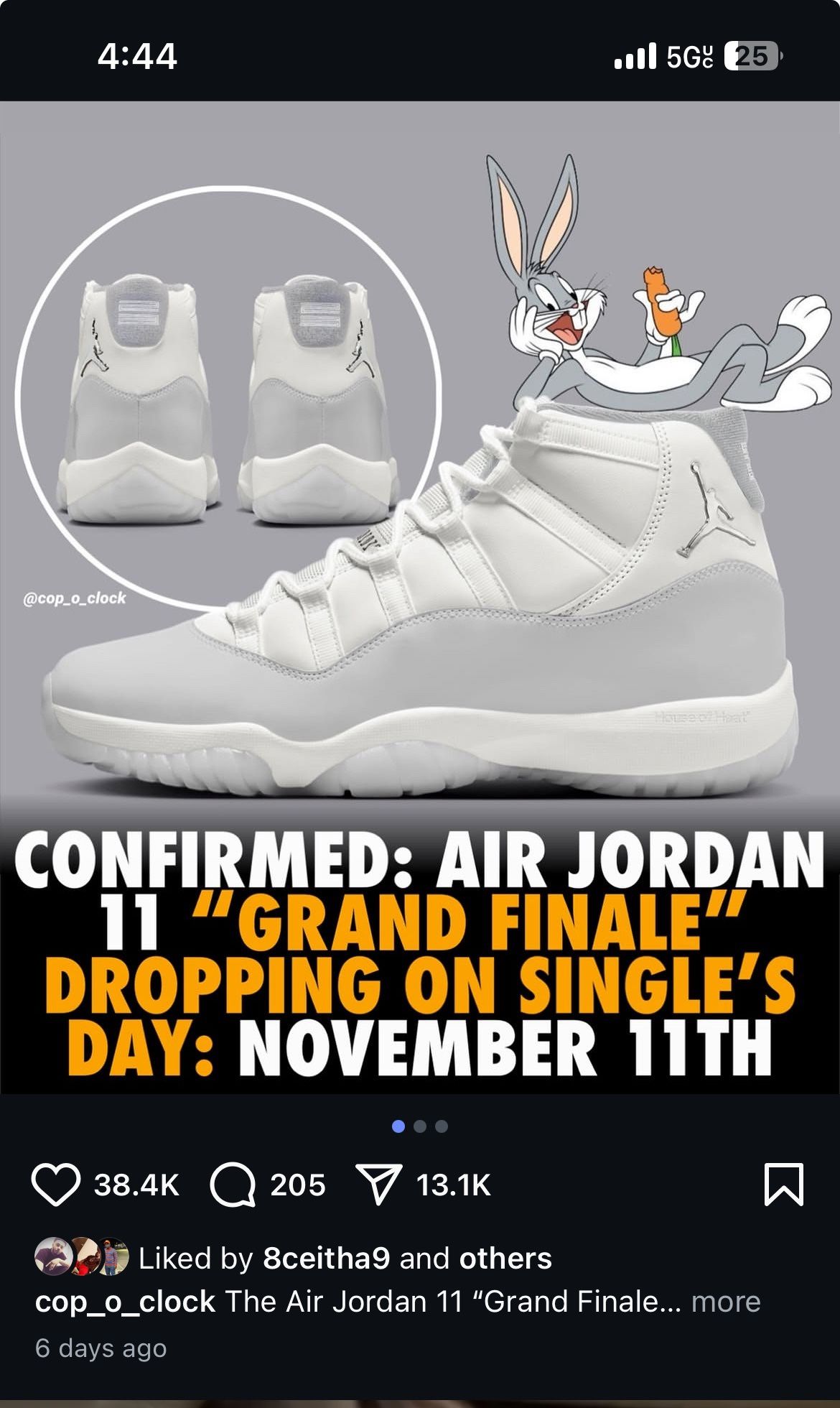 Jordan 11s Grand Finale