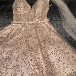 Rose Gold dress