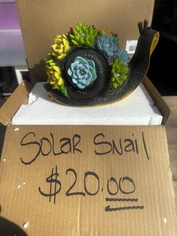 Cute Solar Snail 