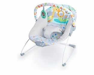 Bright Starts Baby Bouncer Infant Seat