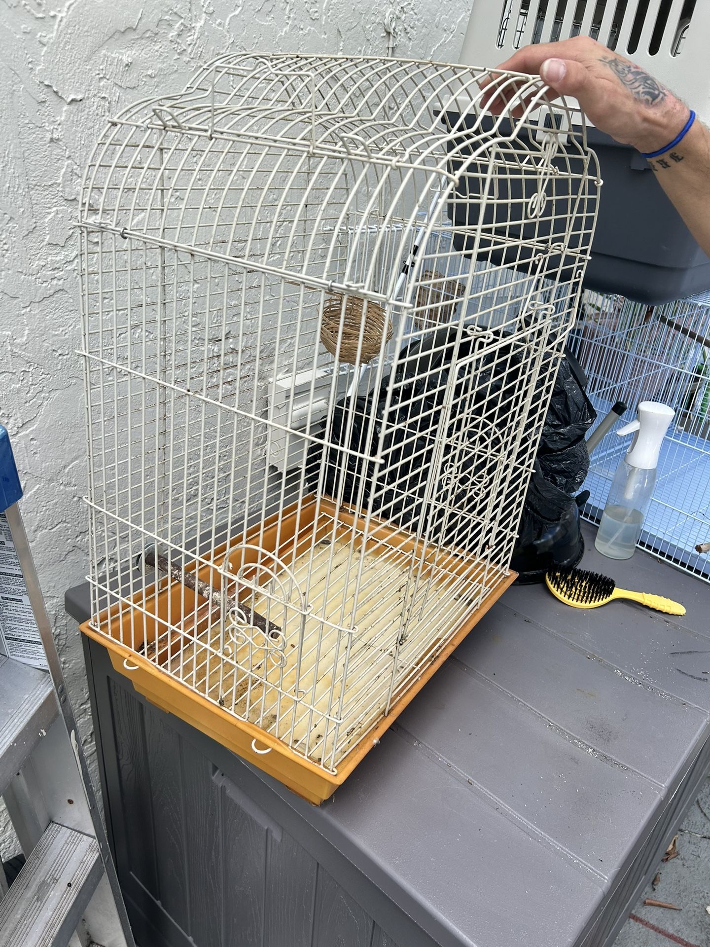 Medium Bird Cage