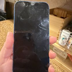 İPhone 13 Blocked Parts