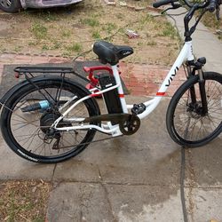 Electric bike clean