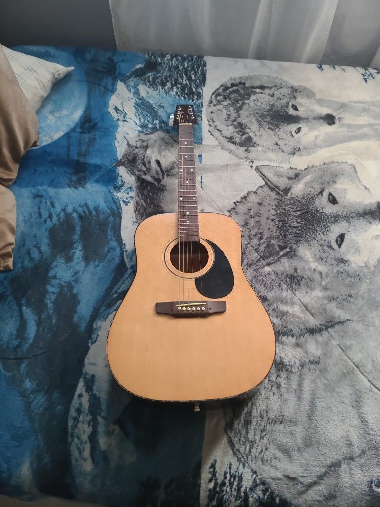 Palmer Guitar