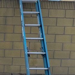 16 ft werner ladder