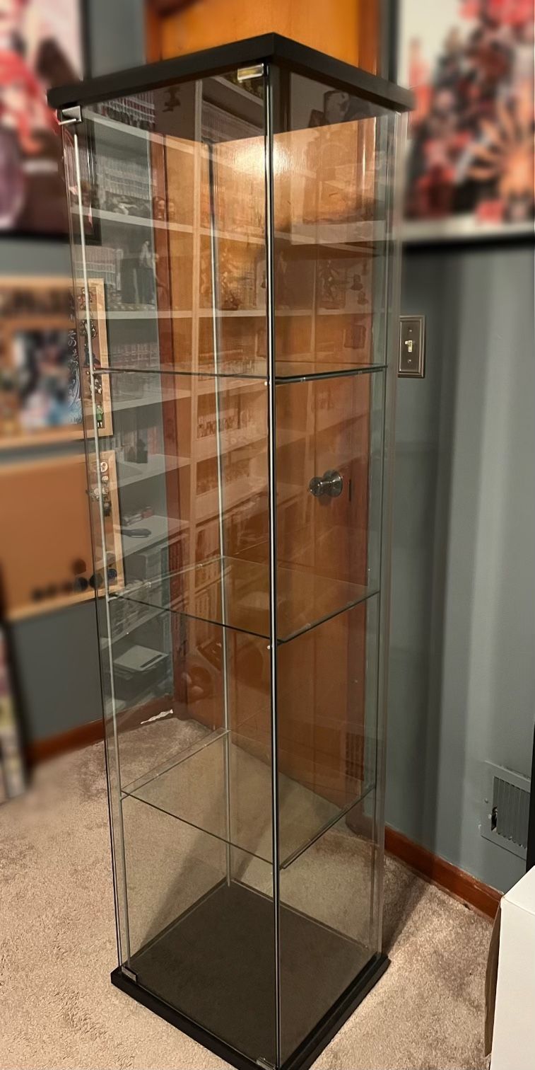 Ikea Detolf Black for Sale in Joliet, IL - OfferUp