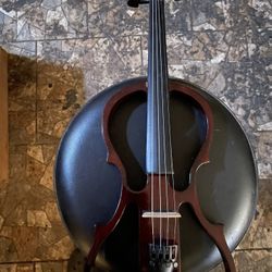 Electric Violin Brand New With Case 