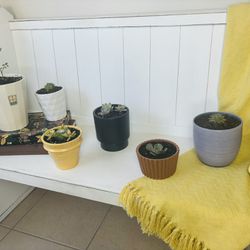 Ceramic Pots Lot. 6 Planted Cactus In High Quality Variety Of Pots Like West Elm And Other