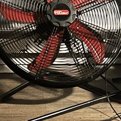 Fan