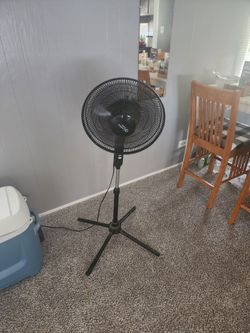 Comfort Zone Black Pedestal Standing Fan