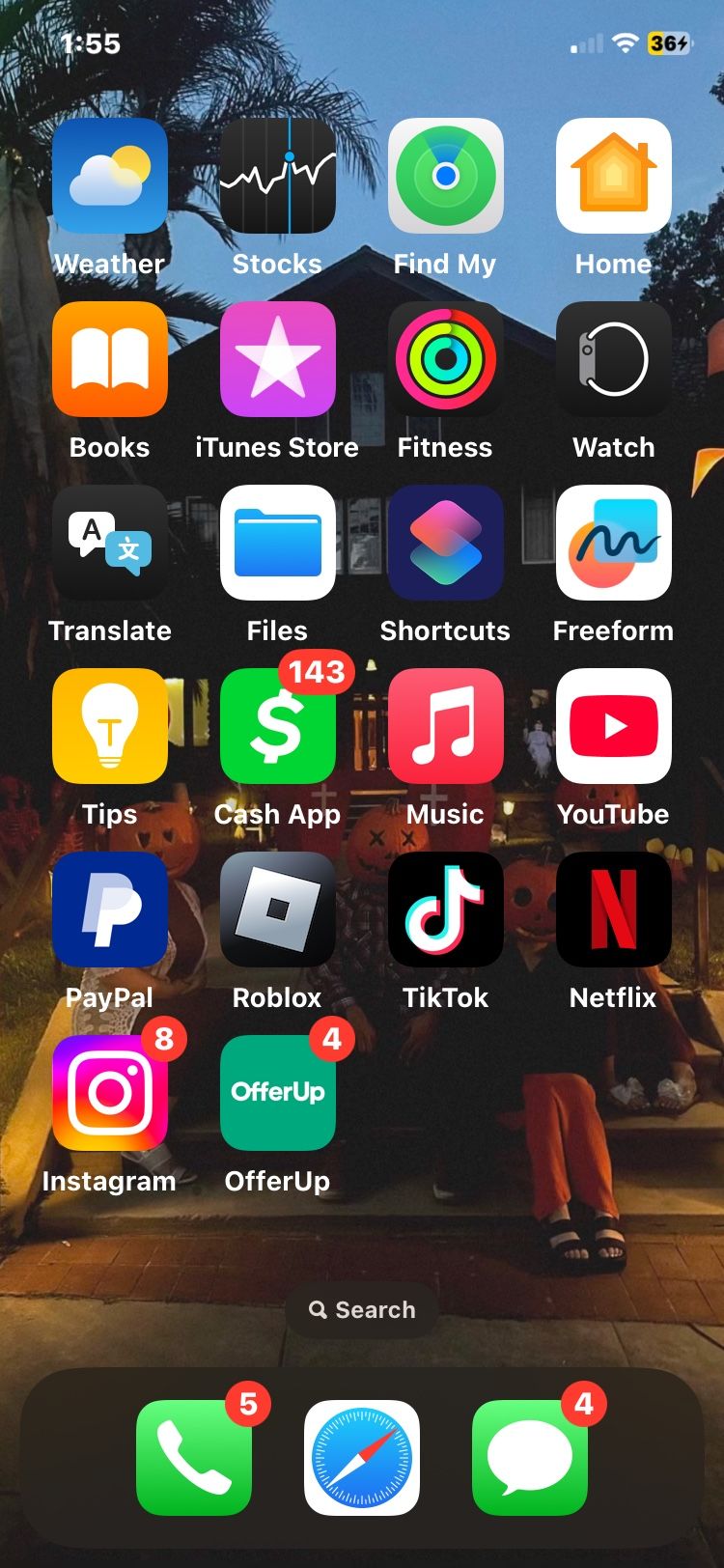 iPhone With TikTok