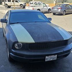 For Sale