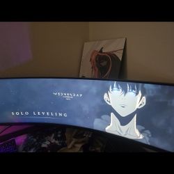 49inch Asus Monitor 