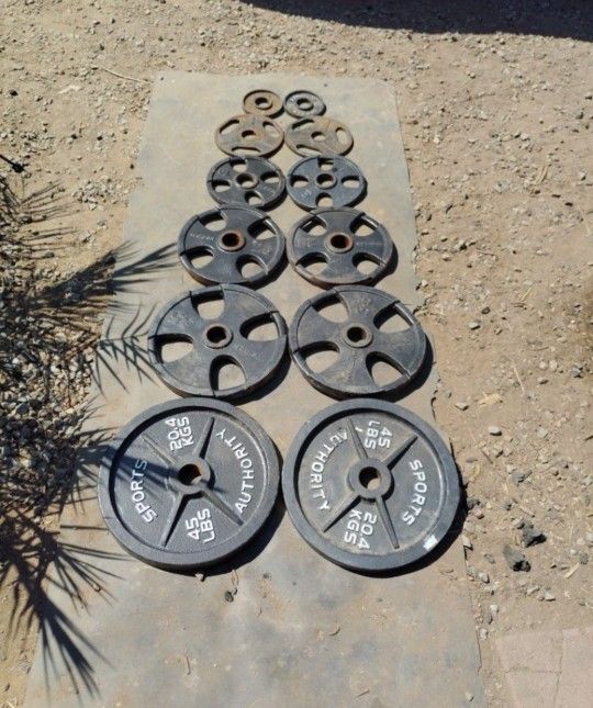 245lbs Olympic Weights 