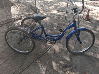 Schwinn Meridian adult tricycle